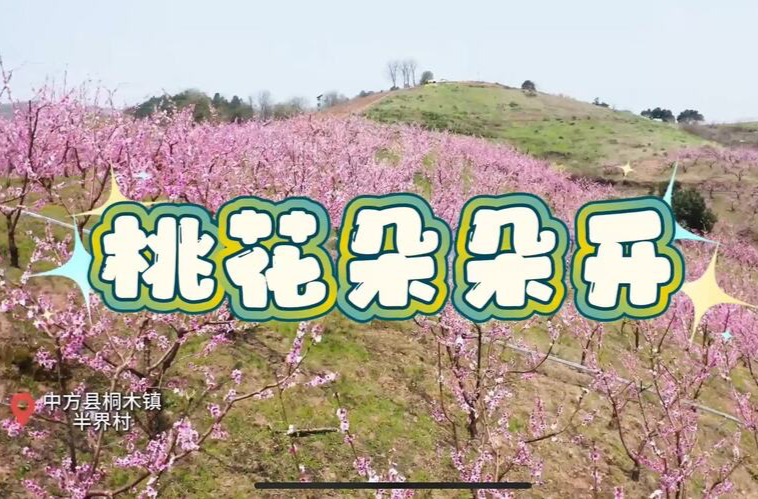 福地怀化·浪漫季|中方：桃花芳菲春意浓