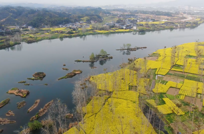 中方：赏花经济掀起春日乡村旅游热潮