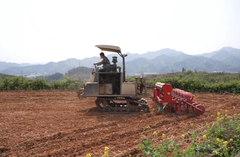 中方县：科技赋能农业 山区高粱种植开启机械化新篇章