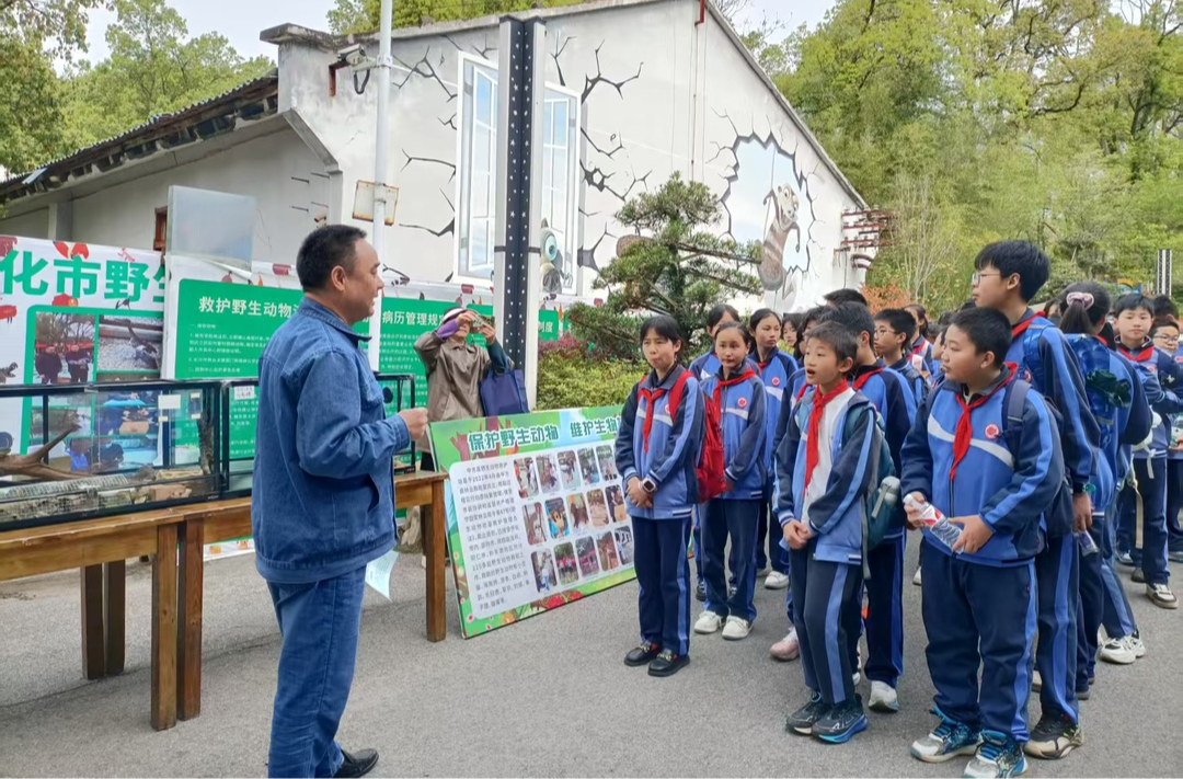 中方县：“爱鸟周”掀起保护热潮，守护区域生态平衡
