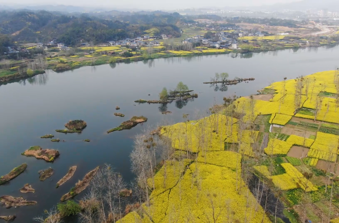 中方县：赏花热催生经济新“花路”