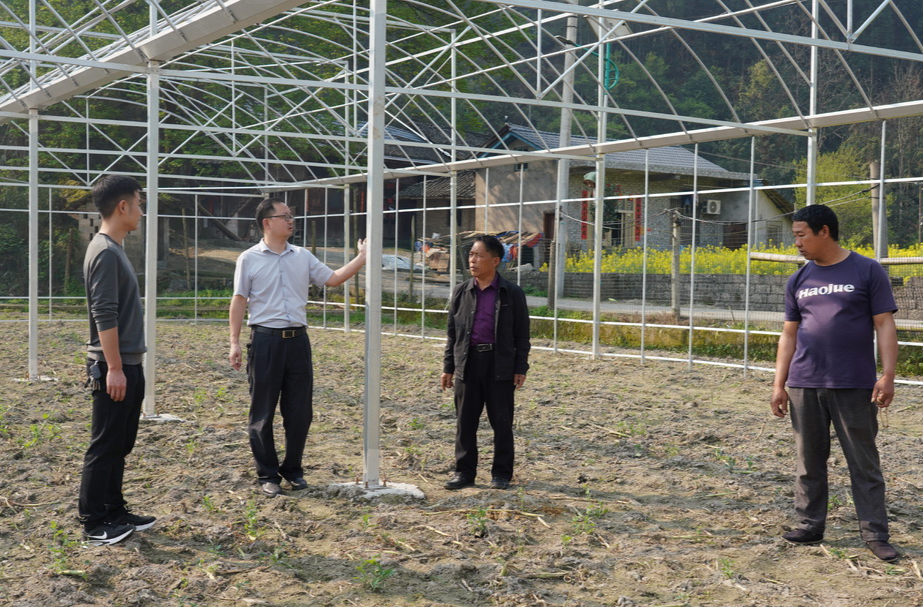 中方县铜湾镇：新建育秧大棚 助力乡村振兴