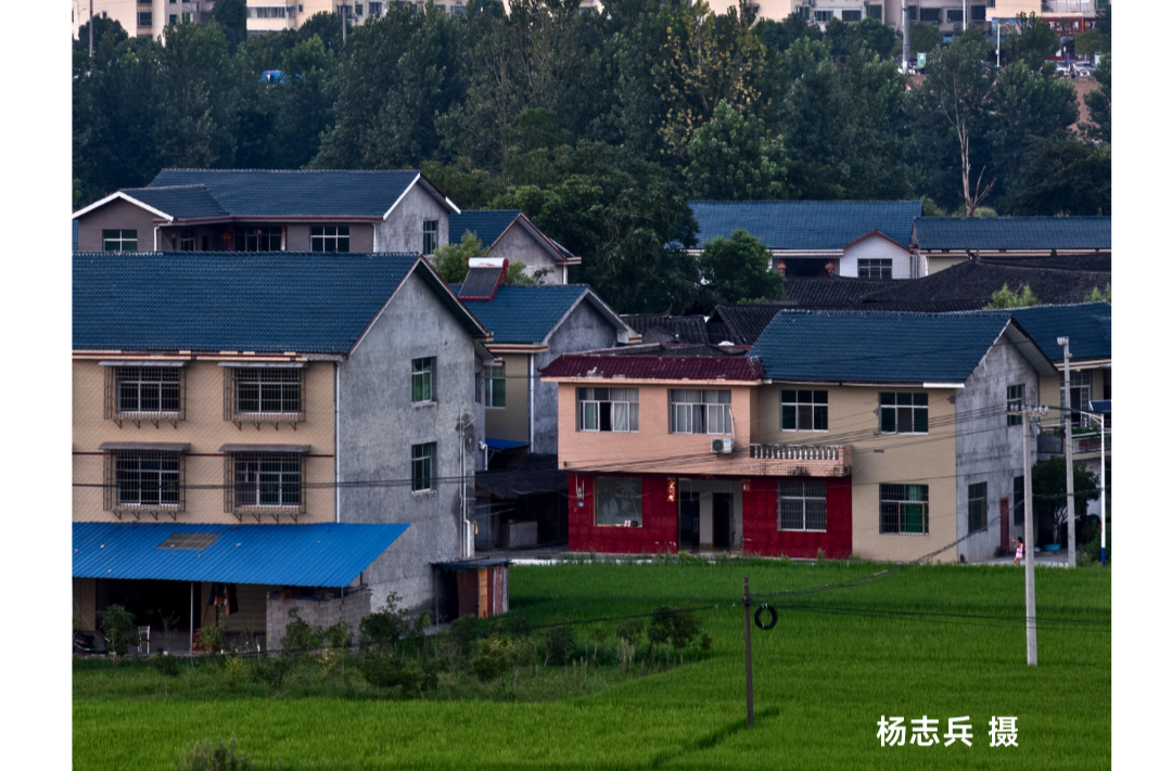 海报|早安中方·从学法开始（三月十一）