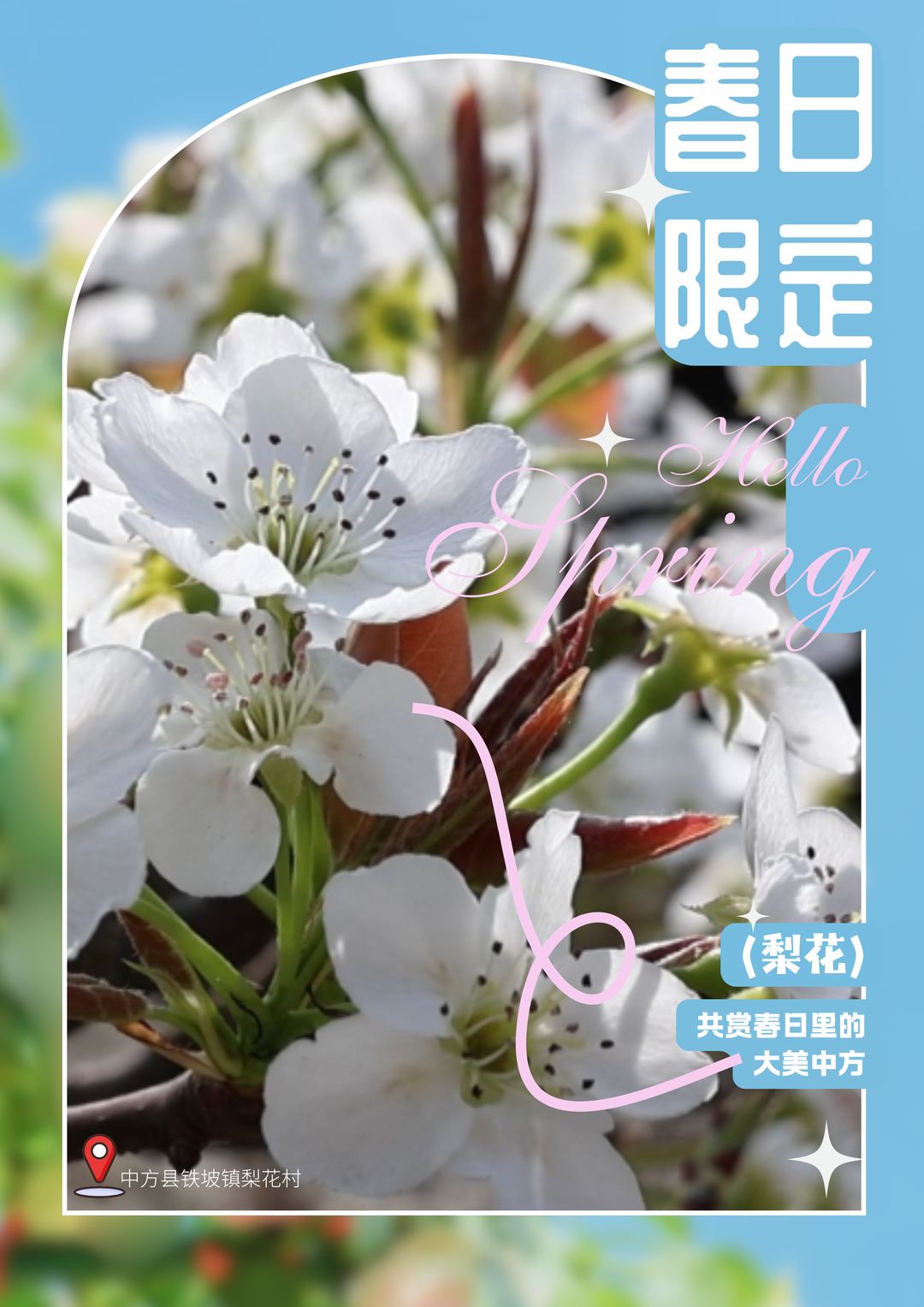 海报|春日限定 共赏春日里的大美中方