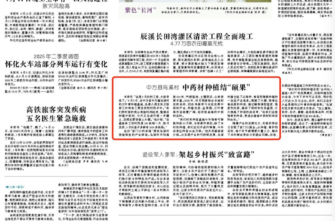 怀化日报|中方县乌溪村 中药材种植结“硕果”