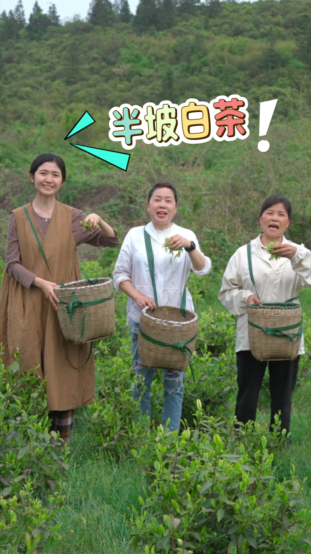 视频|中方县花桥镇镇村干部为了宣传家乡白茶，豁出去了！
