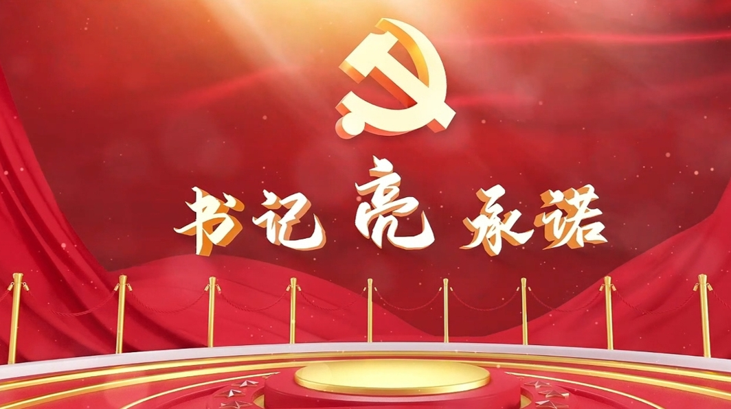 书记亮承诺