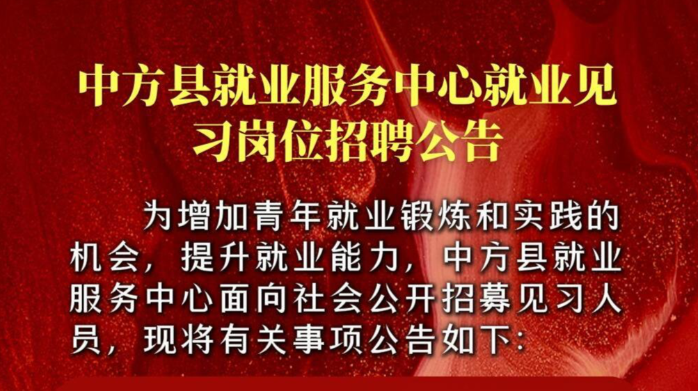 视频|中方县就业服务中心就业见习岗位招聘公告