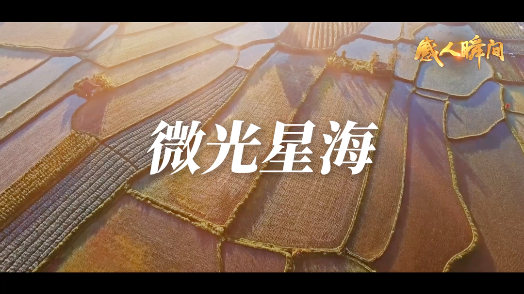 视频|微光星海