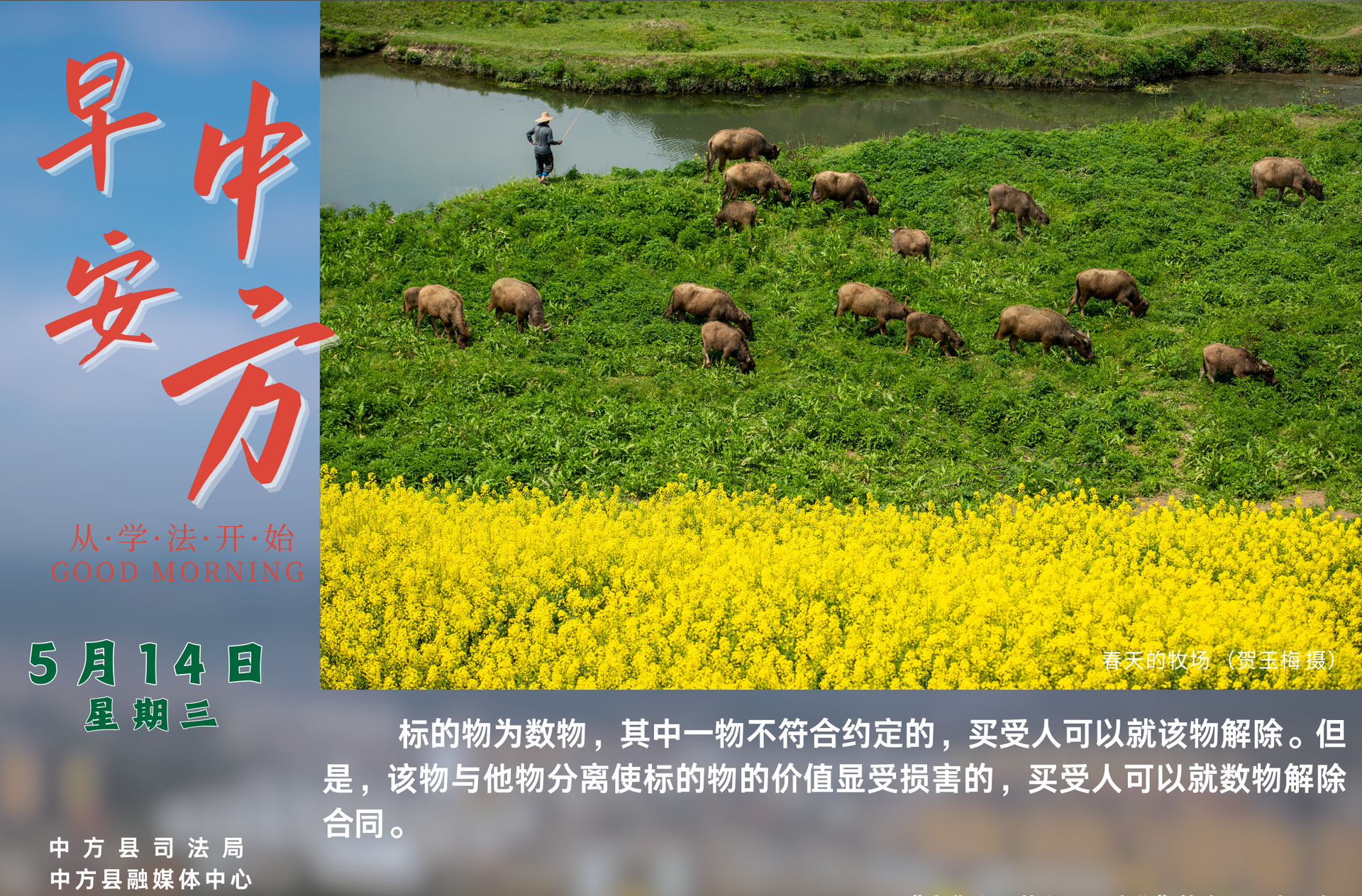 海报|早安中方·从学法开始（四月十七）
