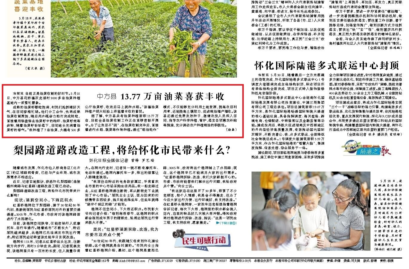 怀化日报头版|中方县 13.77万亩油菜喜获丰收