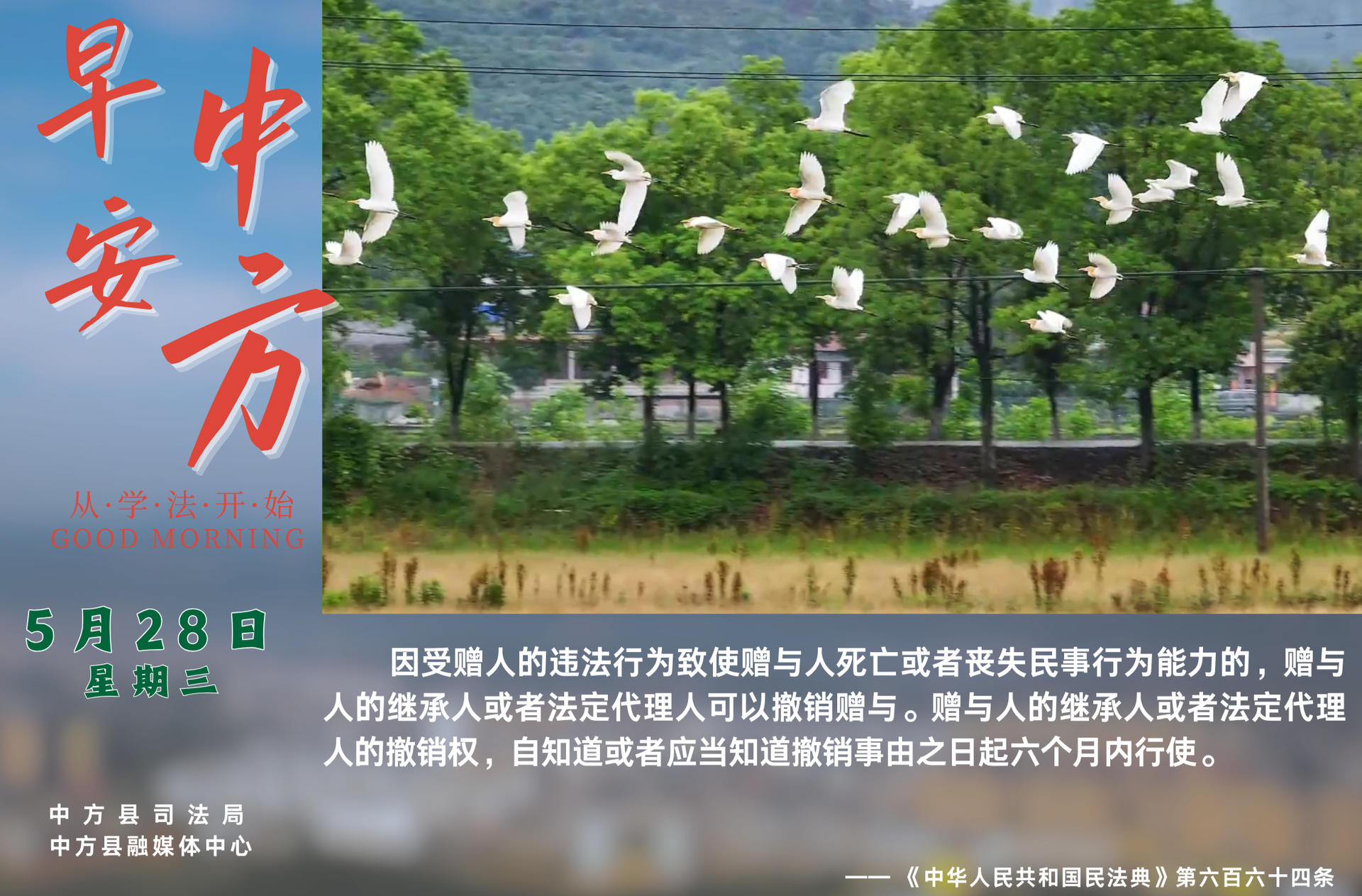 海报|早安中方·从学法开始（五月初二）