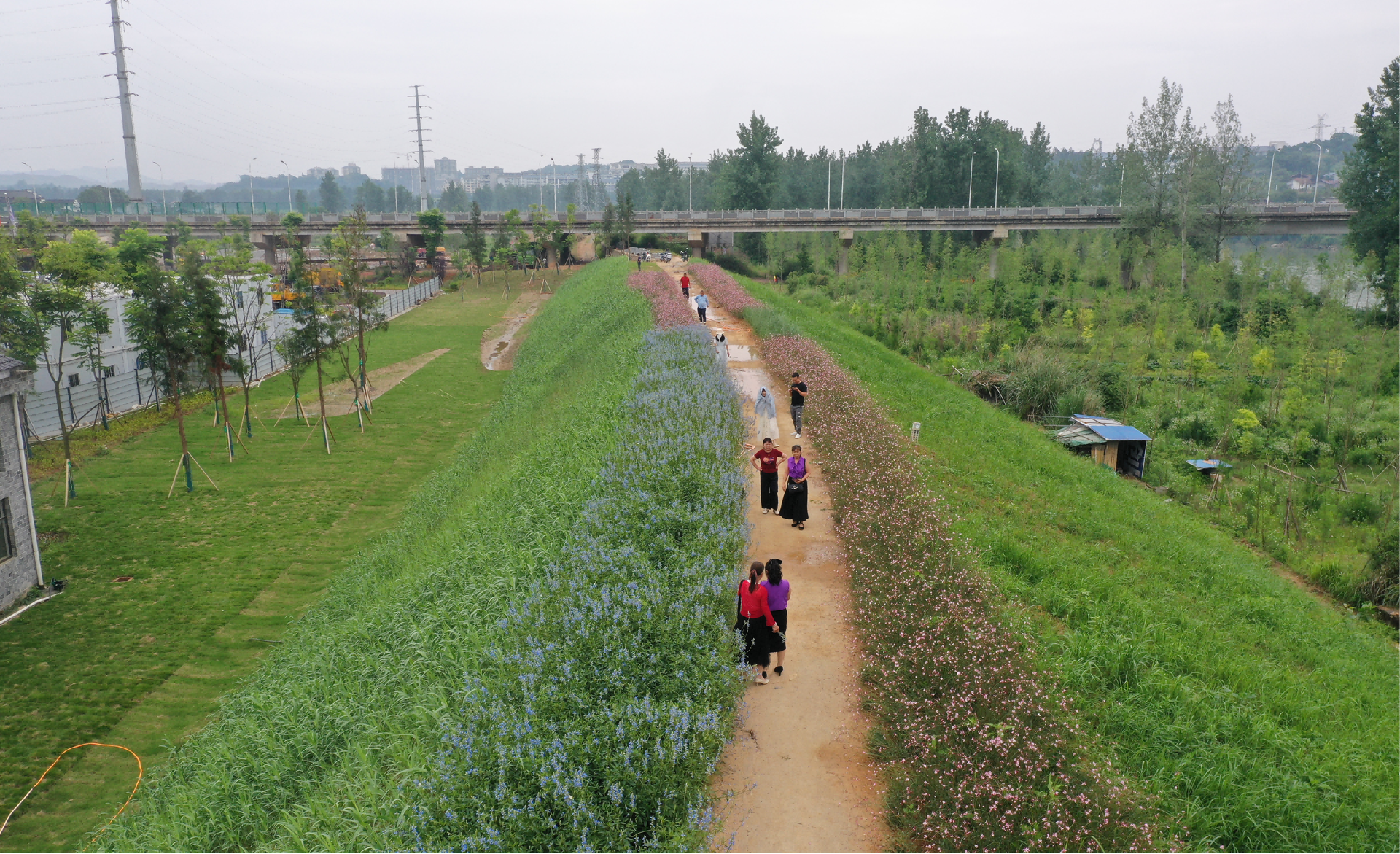 荆坪，焕新正当时|千平花海扮靓荆坪古村 中方县景区提质引客来