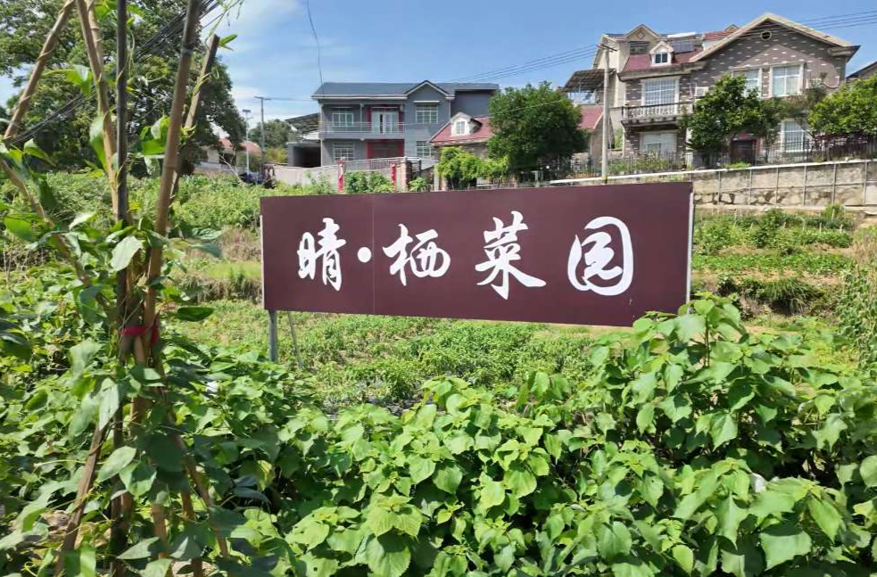 寻味三湘·品怀味｜怀化药膳：品出康养潮流范