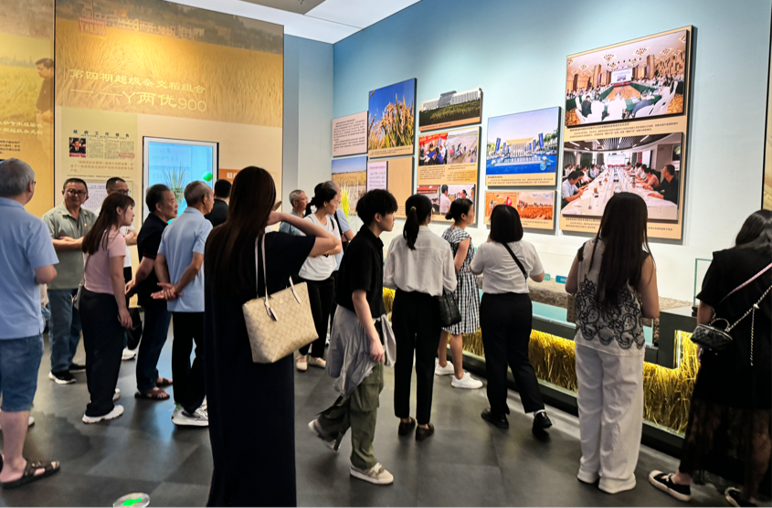 传承“稻”路精神 ，践行初心使命——中方县疾控中心党支部到安江杂交水稻发源地开展主题党日活动