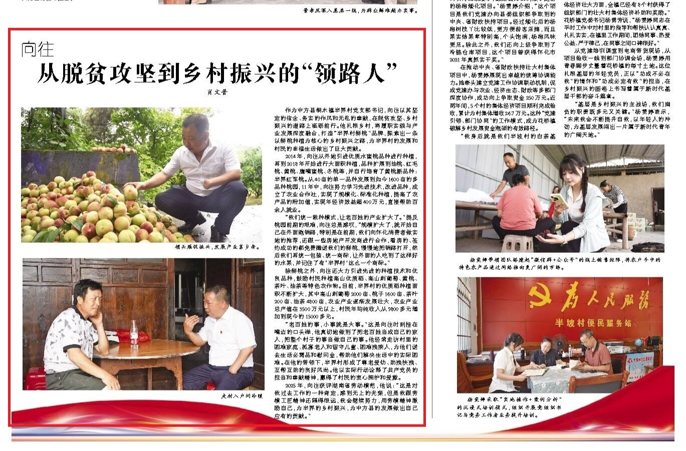 怀化日报|学习身边榜样·向往:从脱贫攻坚到乡村振兴的“领路人”