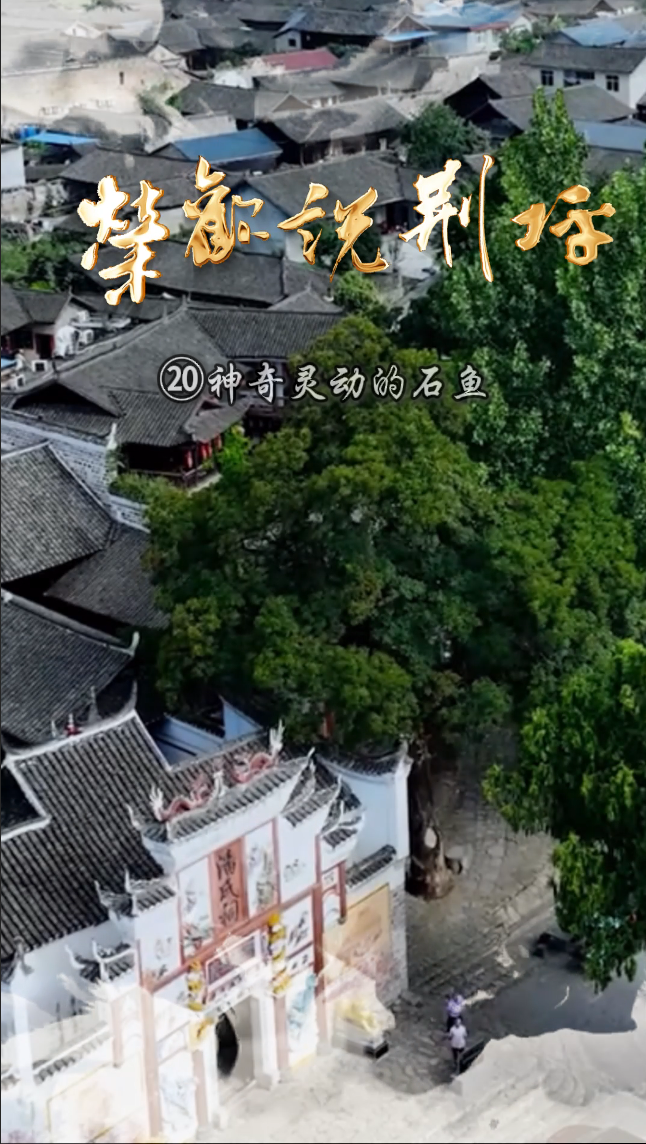 視頻｜榮歡說荊坪?神奇靈動的石魚