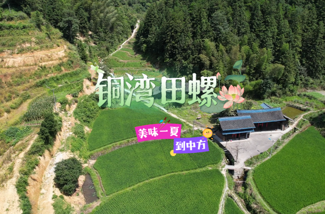 视频|美味一夏到中方：舌尖美味  铜湾田螺