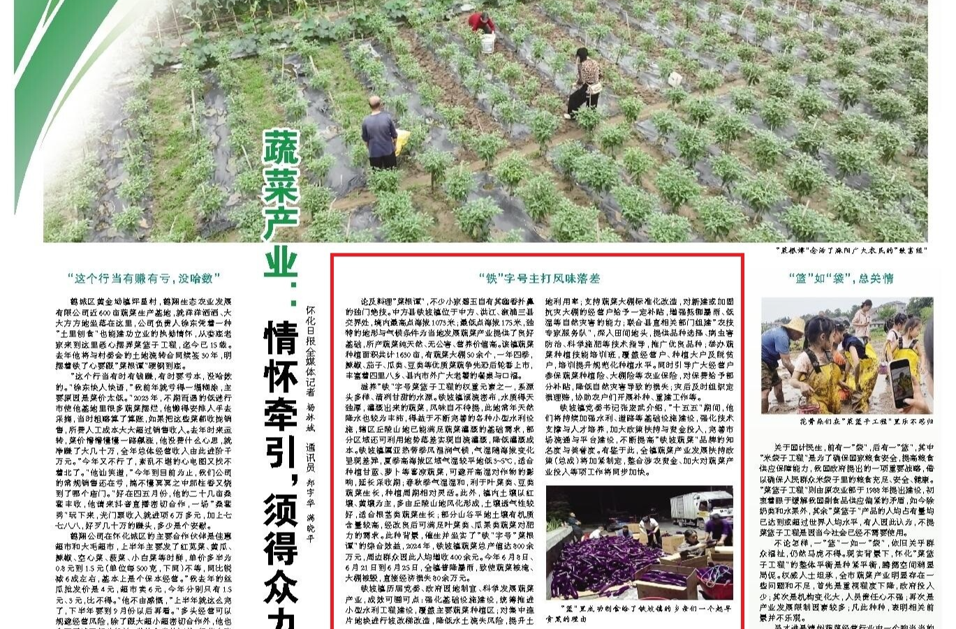 怀化日报|中方县蔬菜产业：“铁”字号主打风味落差