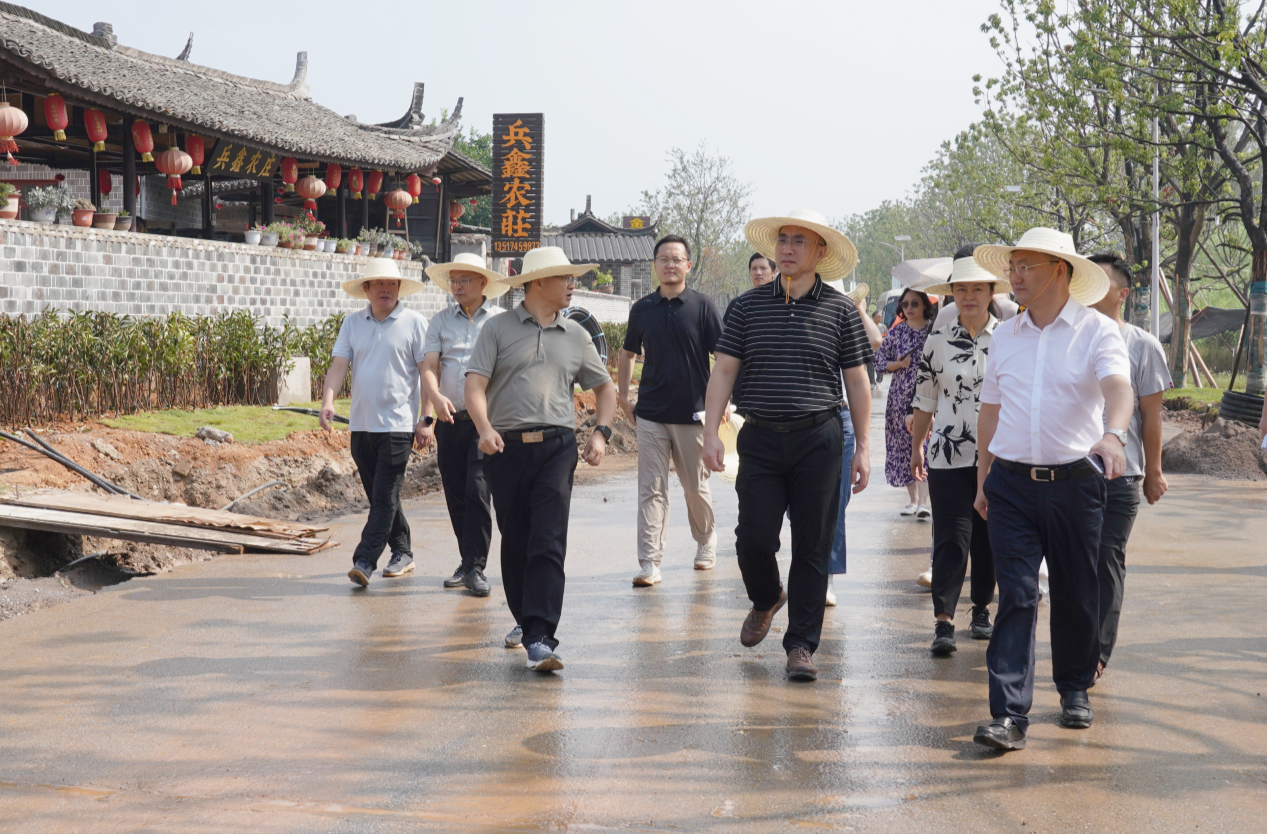 省文旅厅党组成员、省文物局局长姜猛率队到中方县荆坪古村调研文物保护利用工作