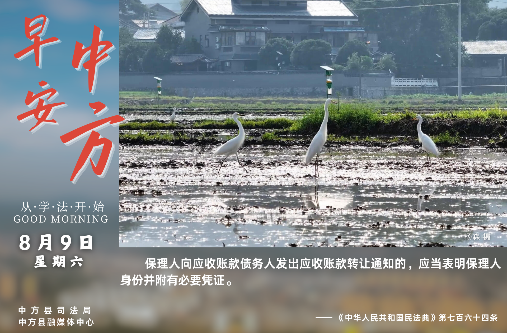 海报|早安中方·从学法开始（闰六月初十六）