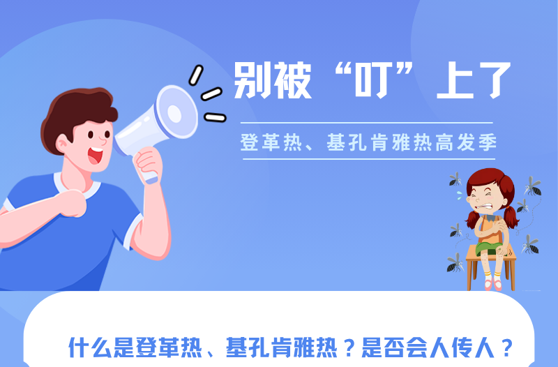长图|登革热、基孔肯雅热高发季，别被“叮”上了