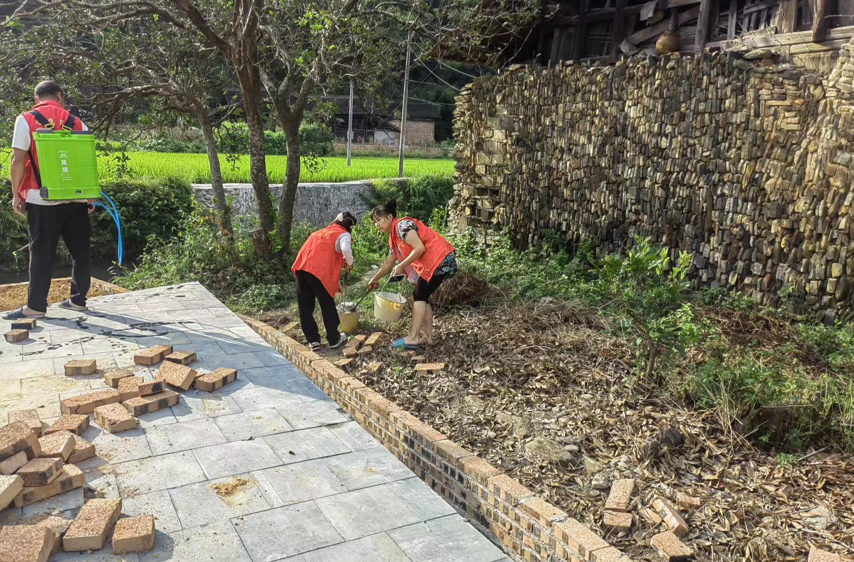 中方县接龙镇：启动“三清一灭”专项行动 筑牢夏季公共卫生防线