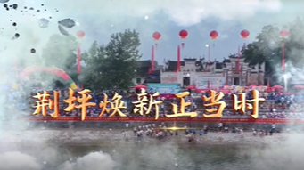 视频|荆坪，焕新正当时·150余处标识织就荆坪古村“文化导航网”