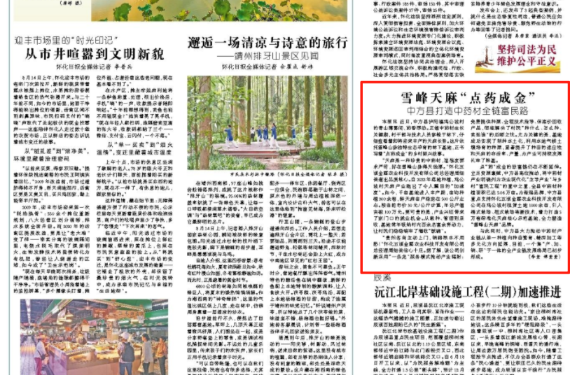 怀化日报头版|雪峰天麻“点药成金” 中方县打造中药材全链富民路