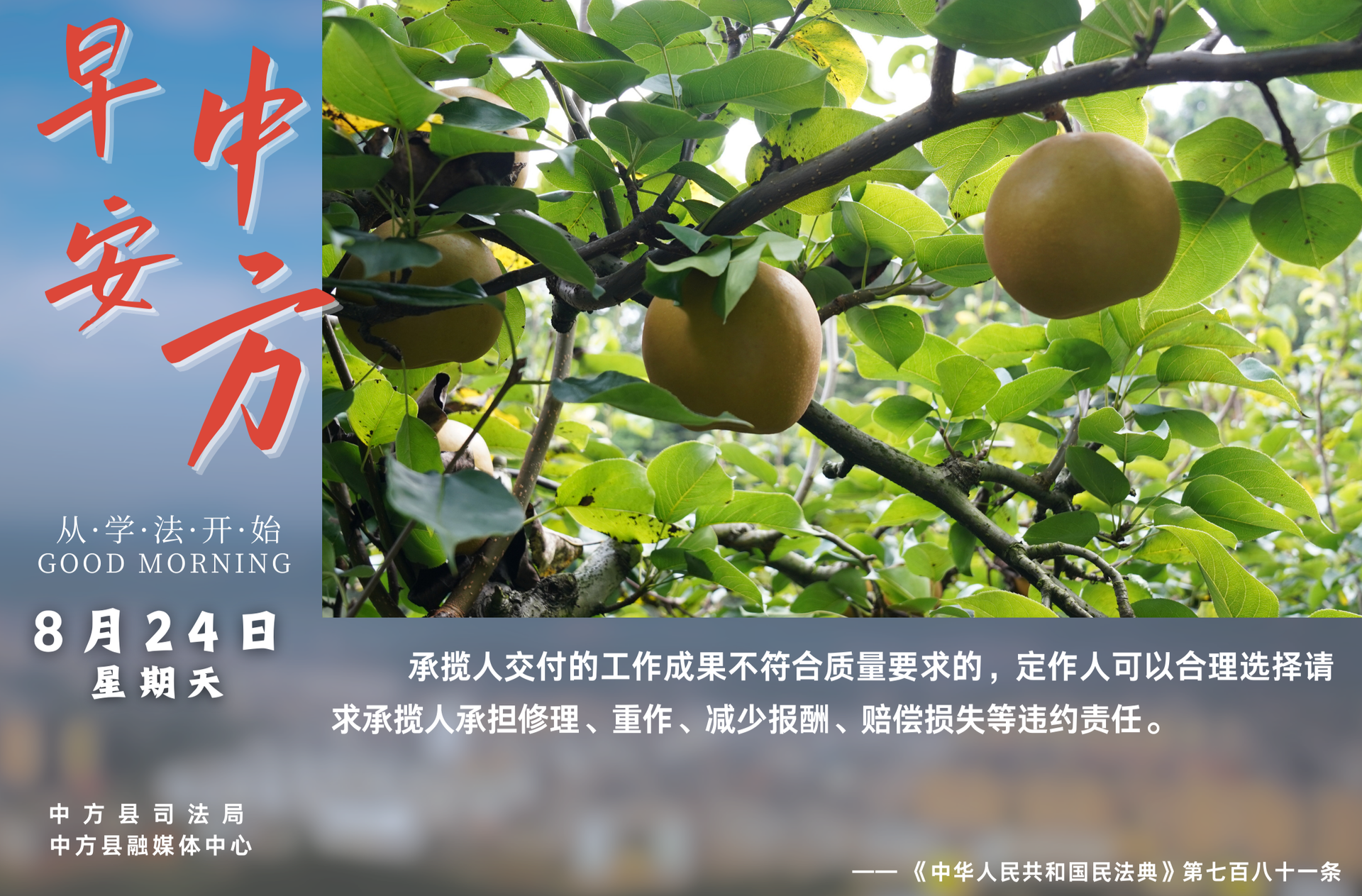 海报|早安中方·从学法开始（七月初二）