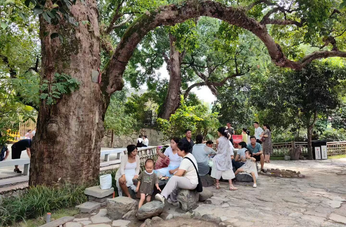 荆坪，焕新正当时|中方：千年驿道迎新客，荆坪古韵焕新生