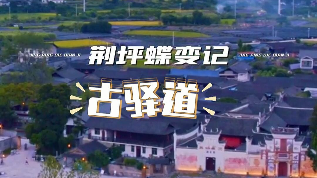 視頻|荊坪蝶變記之古驛道