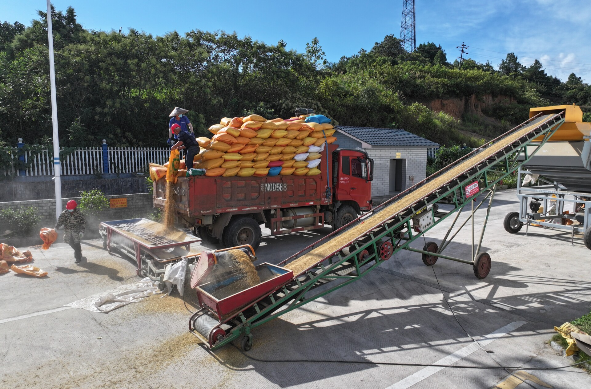 中方县多部门协同保障“钱等粮” 夯实地方储备粮安全根基