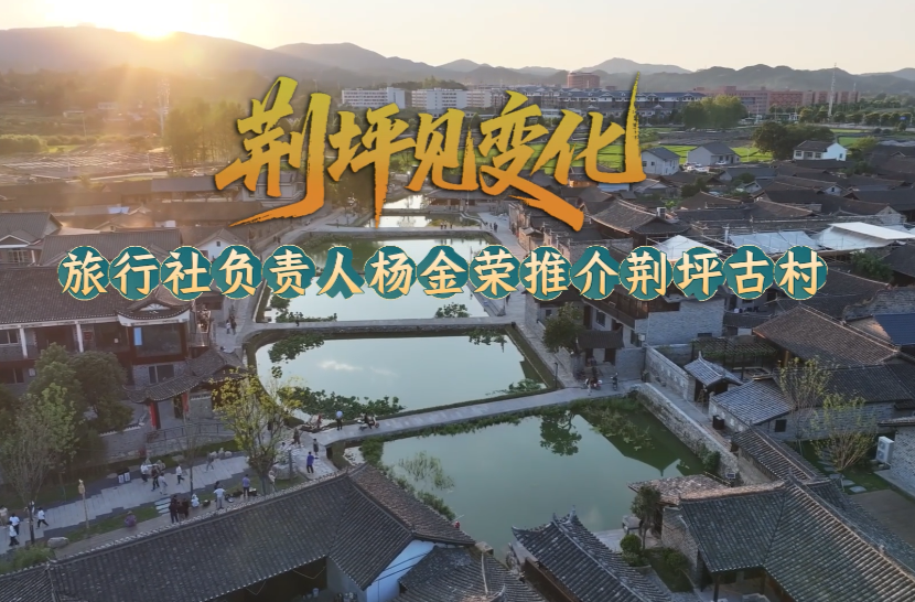 视频|荆坪见变化·旅行社负责人杨金荣推介荆坪古村