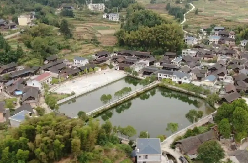 扎根乡村一月记：  在沃野泥土中书写青春答卷