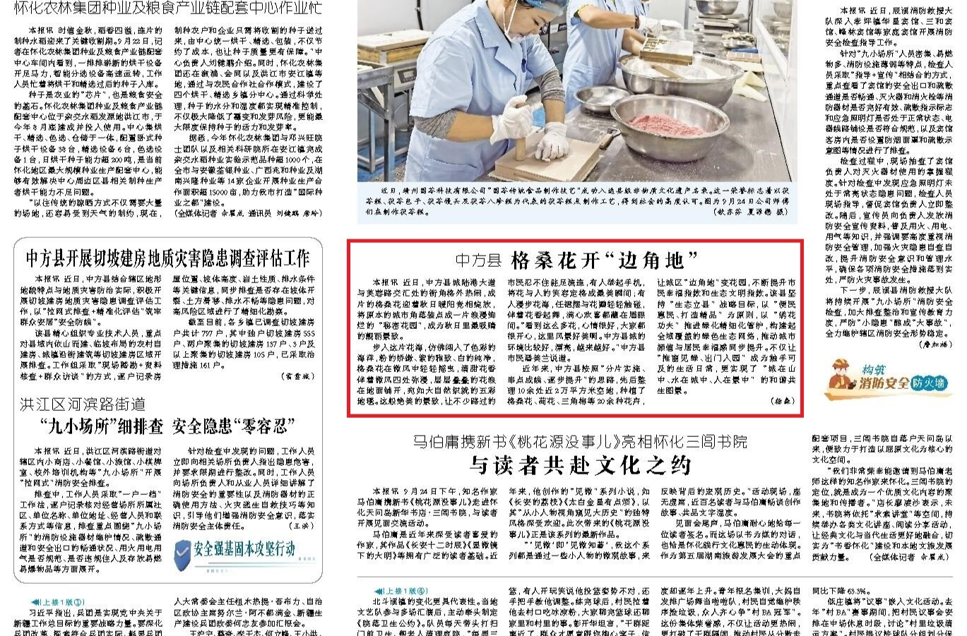 怀化日报|中方县 格桑花开“边角地”