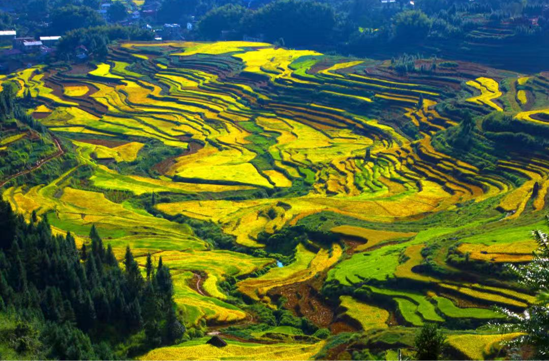 以“土、云、心”为钥，启江坪村发展新局——论中方县铁坡镇江坪村农村高质量发展的破题路径