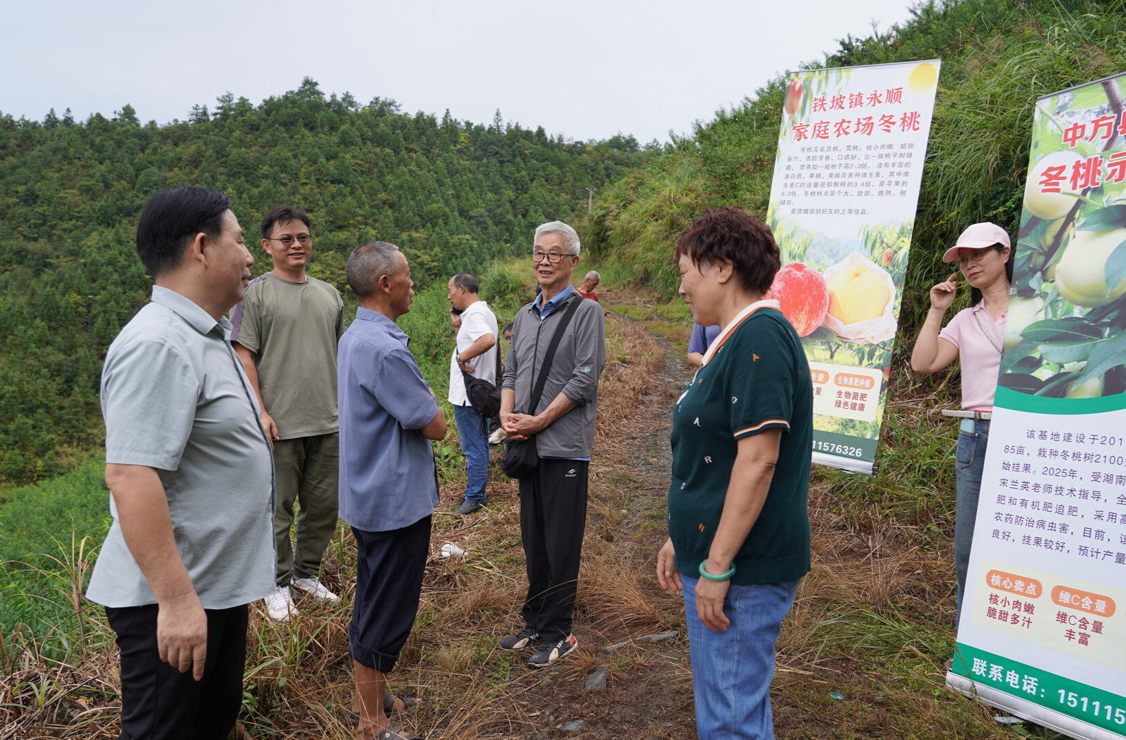 中方县老科协急果农所急：排忧解难办实事，筑牢果业增收路
