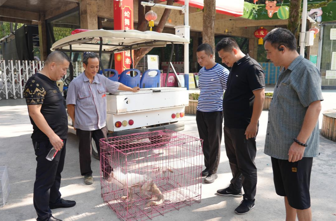 中方县林业局：成功救助一只受伤北极狐