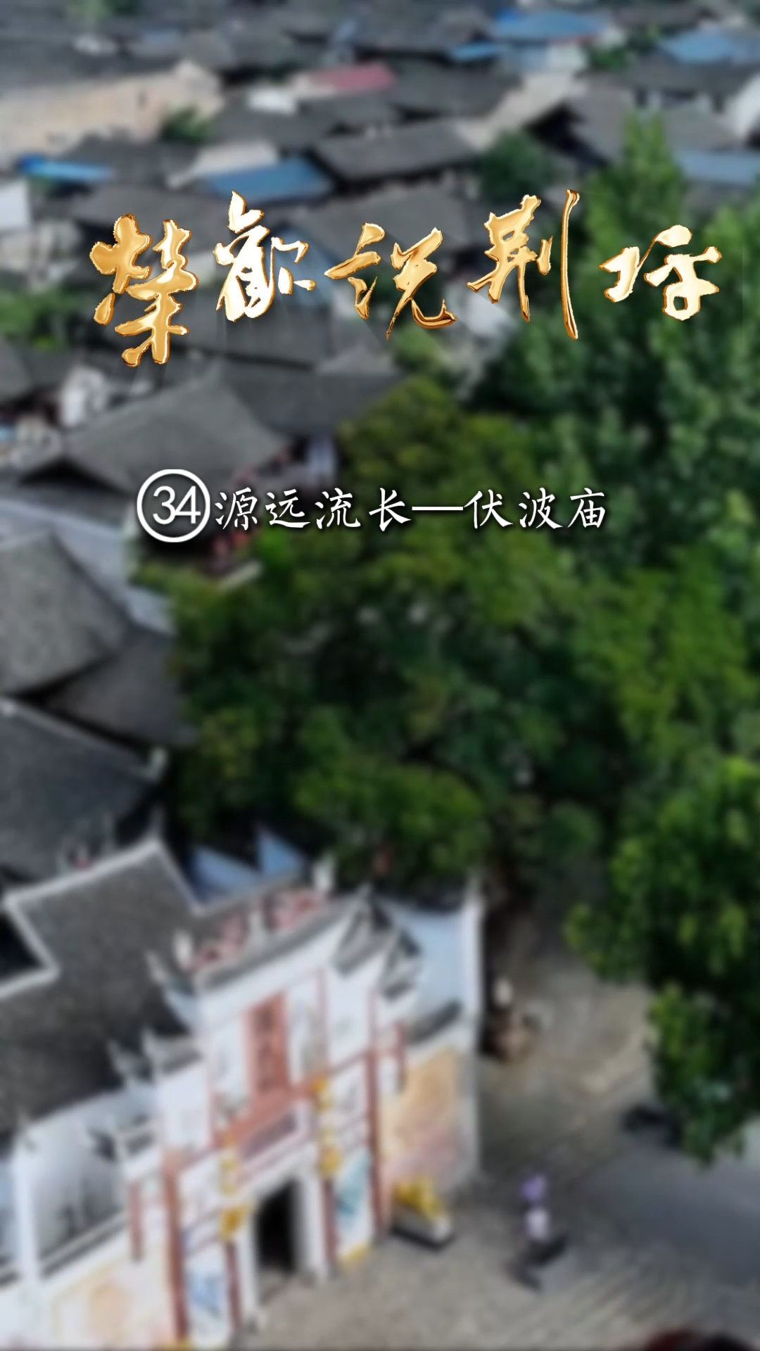 视频｜荣欢说荆坪㉞源远流长—伏波庙