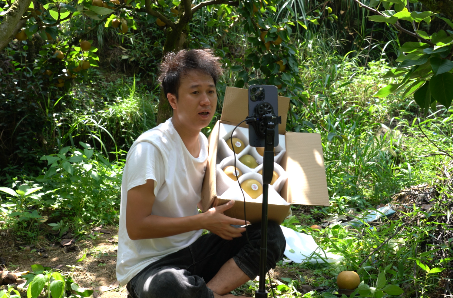 希望的田野|中方县金秋梨搭乘“网络快车”俏销全国