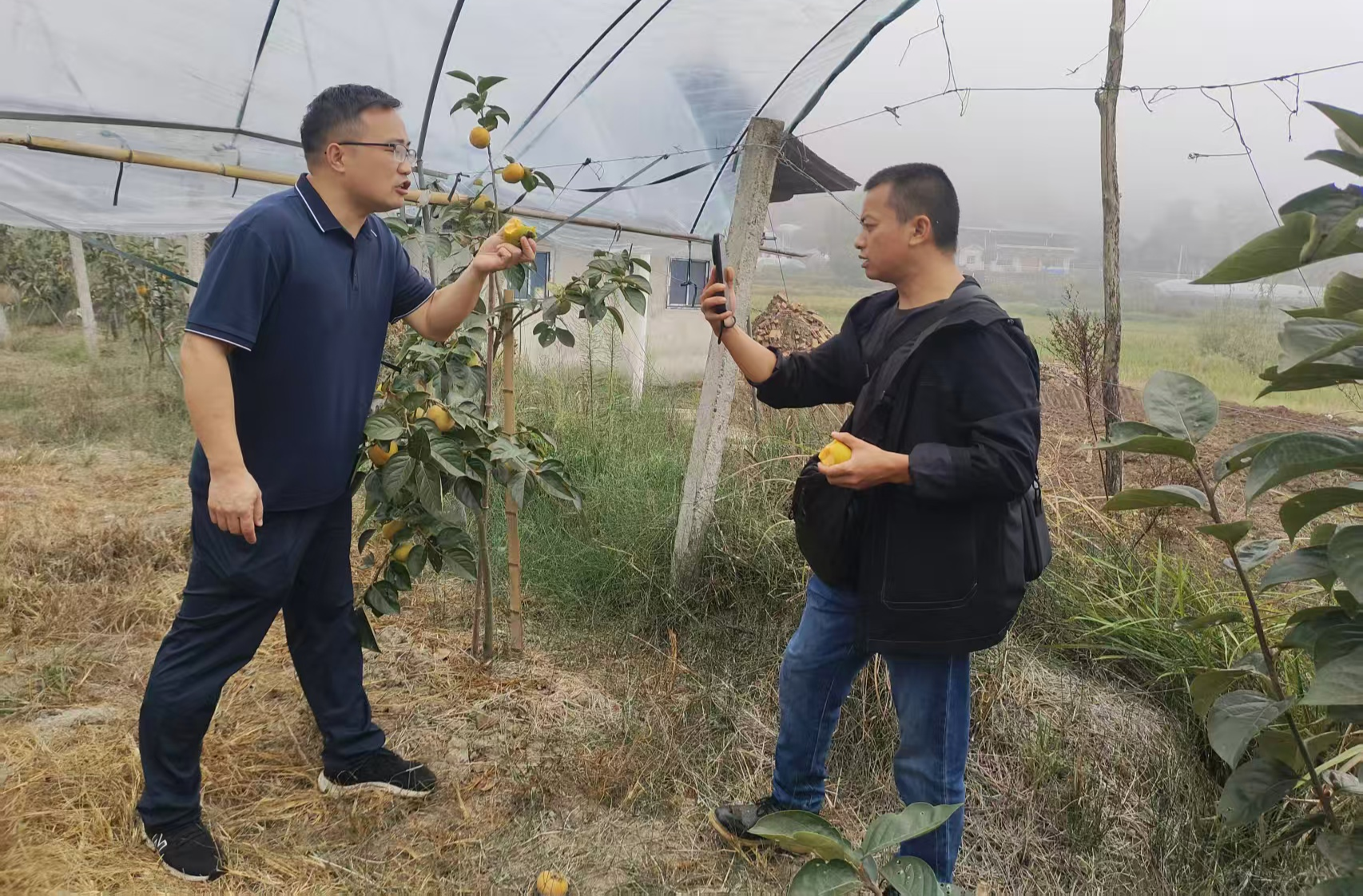 政企协联动 中方县精准指导农户搭上电商“快车”