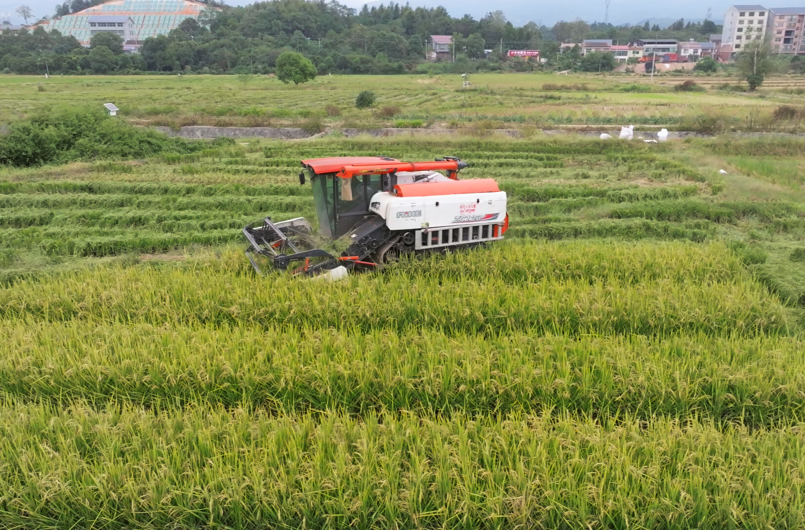 希望的田野|中方县：制种水稻收割忙 深耕产业助振兴