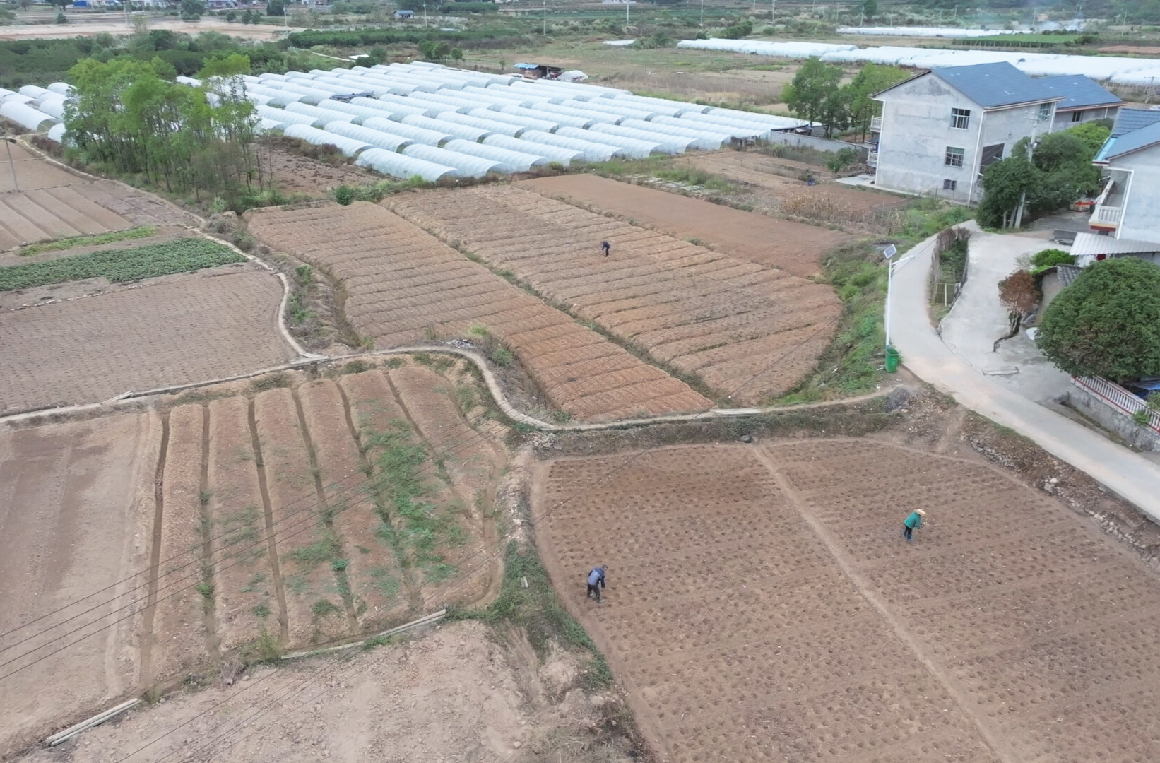 希望的田野|中方县：抢抓农时忙秋种 油菜栽种掀热潮