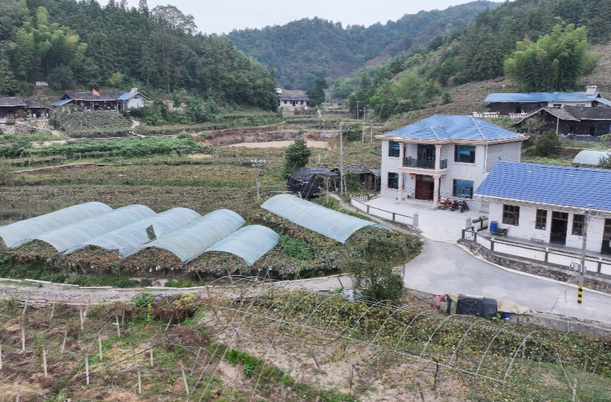 中方县桐木镇：阶梯奖补激活庭院经济  “多干多补”点燃群众致富热情