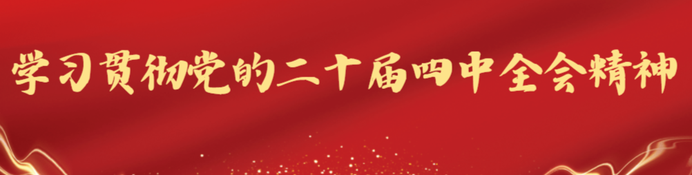 学习贯彻党的二十届四中全会精神