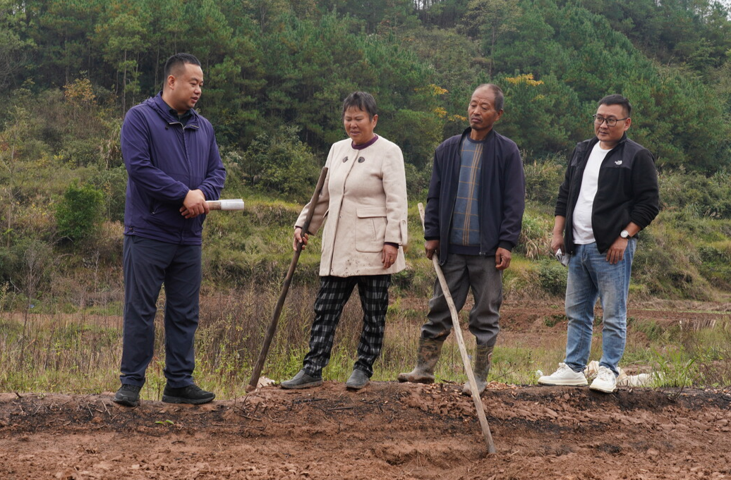 中方县铜湾镇：田间地头宣讲四中全会精神 凝心聚力助推乡村振兴
