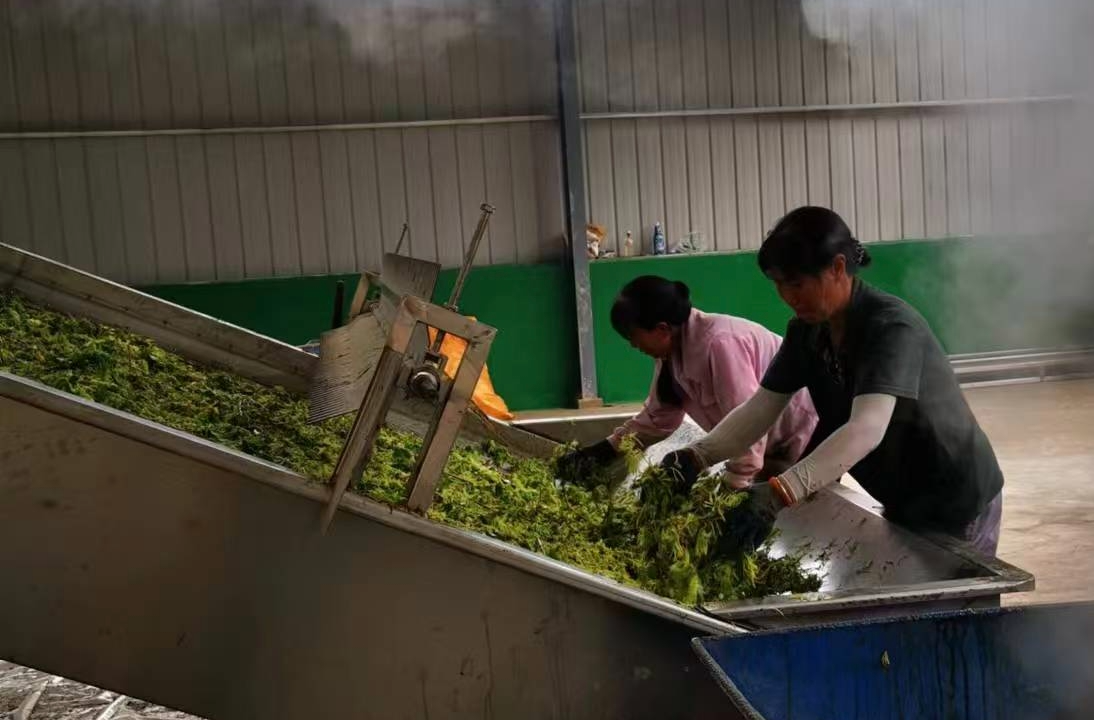 四中全会精神在基层|中方县铁坡镇：民生实事绘就幸福底色