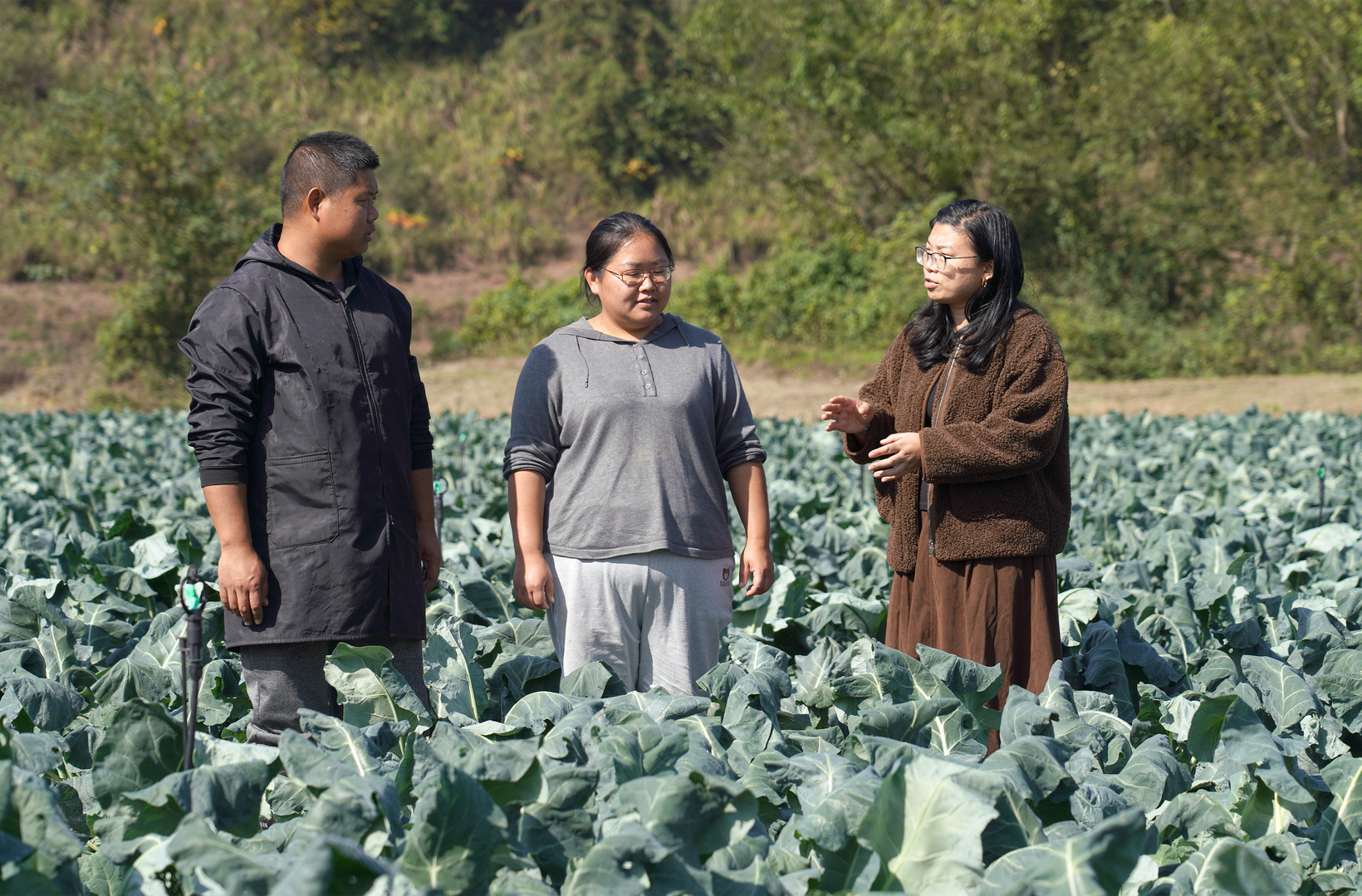 希望的田野|中方：党建引领“四集”模式  注入乡村振兴新动能