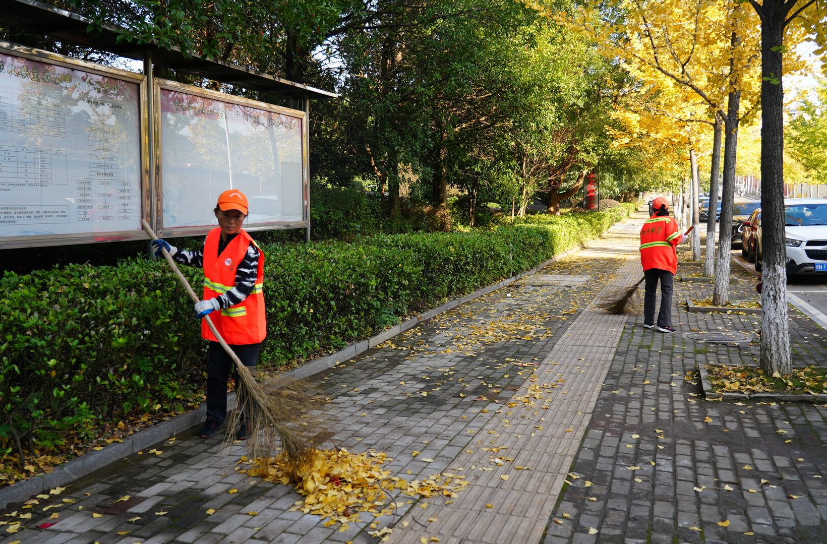 中方县城管局：“落叶缓扫街” 绘就秋冬诗意 精细化保洁守护城市洁净